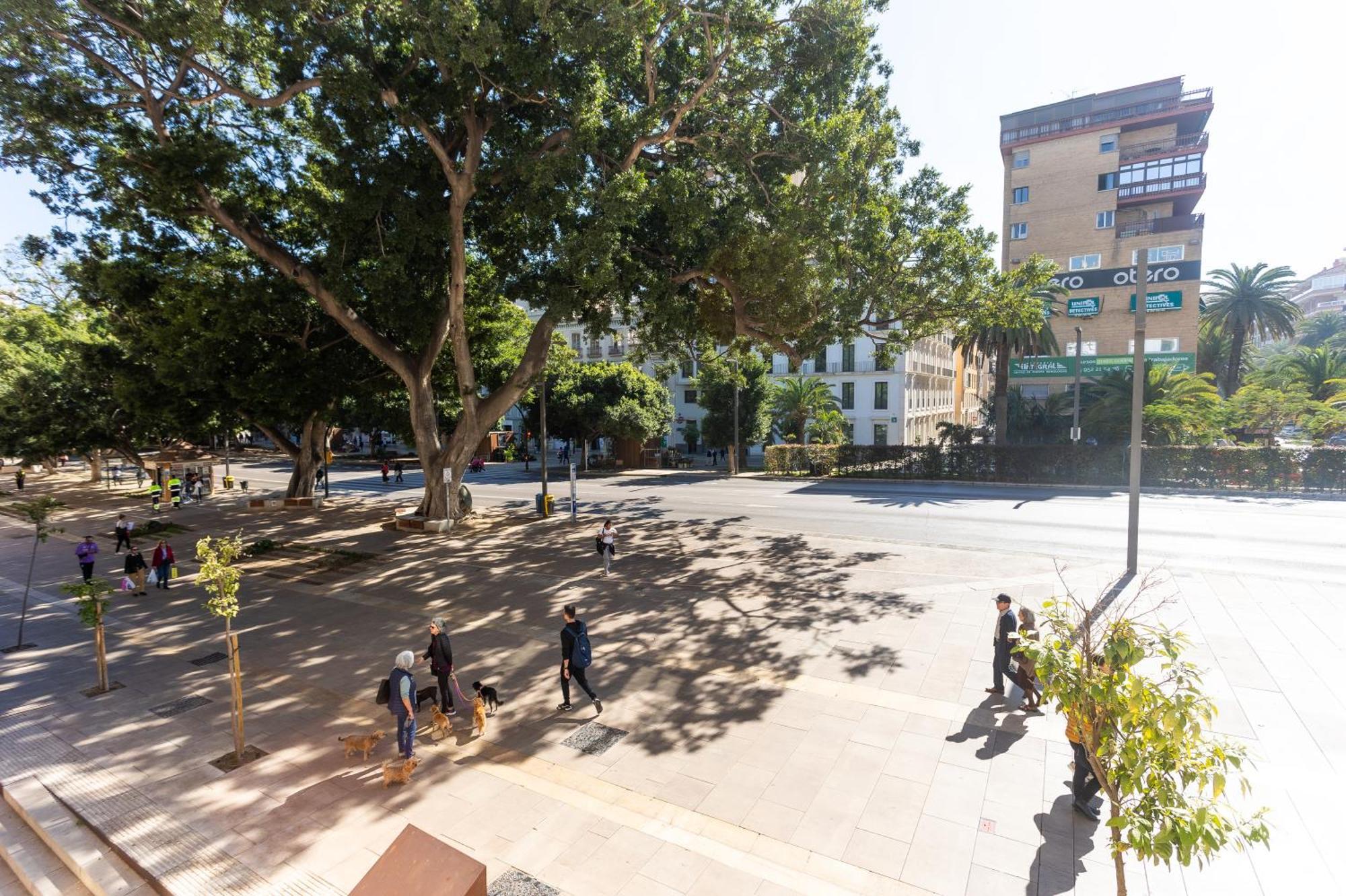 La Casa De La Alameda Apartment Malaga Exterior photo